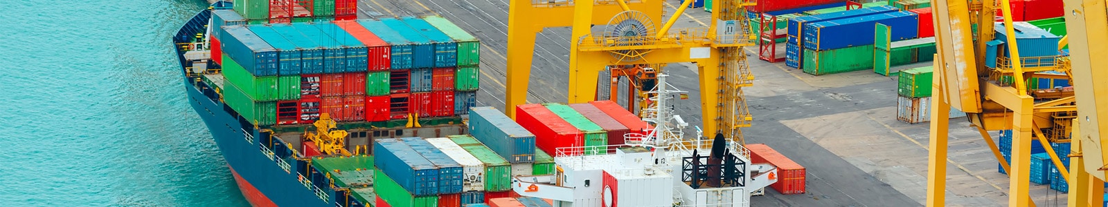 MSC joins BoxTech, pushing registered containers over 10 million